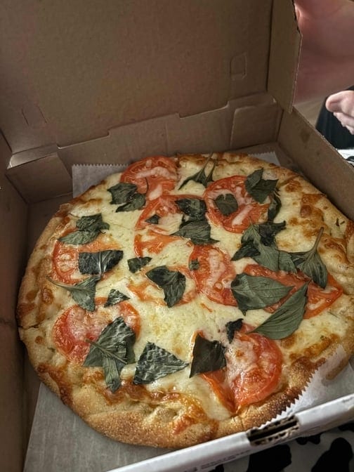 Classic Margherita Calzone.